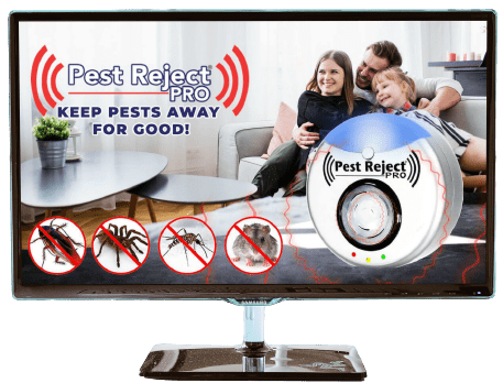 pest reject pro mockup